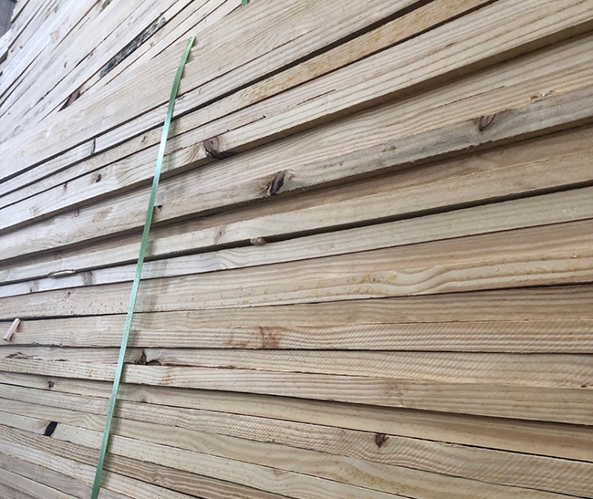 准格尔巴西松